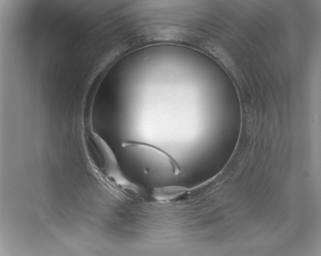 X0000073420482200608111355