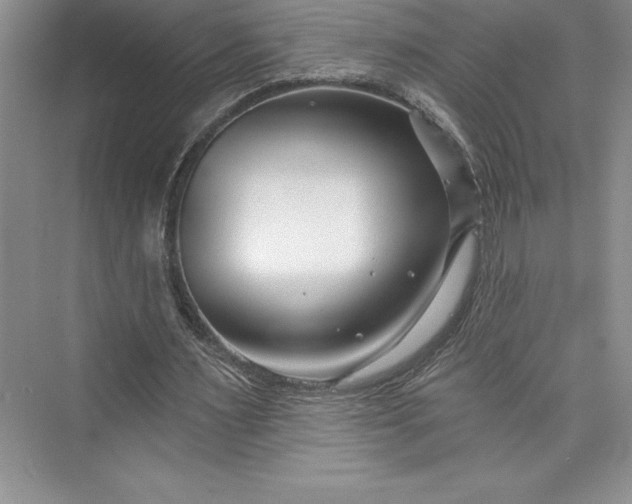 X0000073420483200608111355