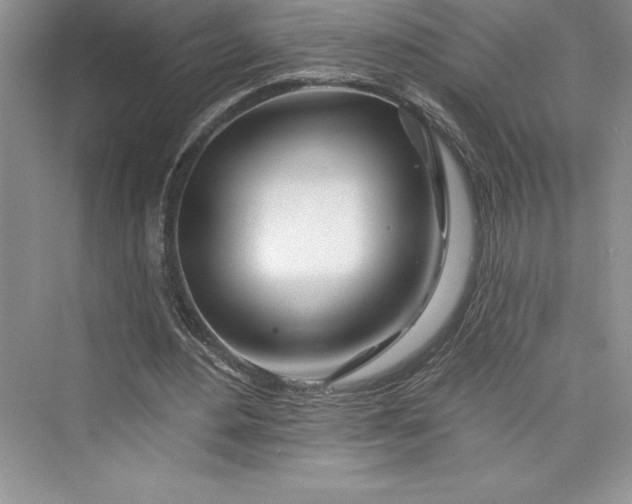 X0000073420484200608111355