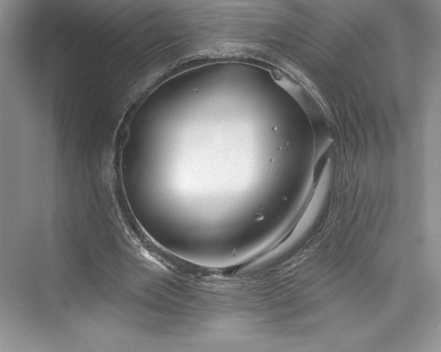 X0000073420485200608111355