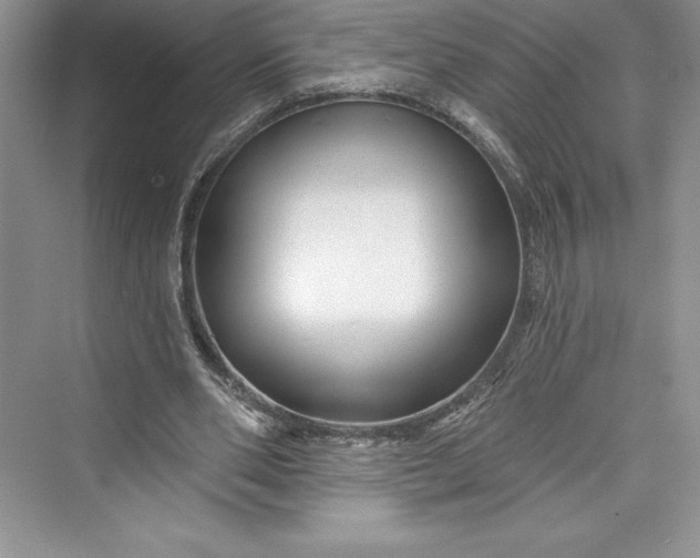 X0000073420486200608111355