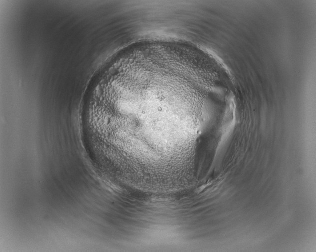 X0000073420487200608111355