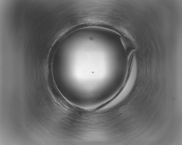 X0000073420488200608111355