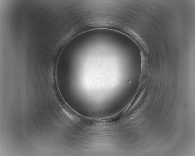 X0000073420489200608111355