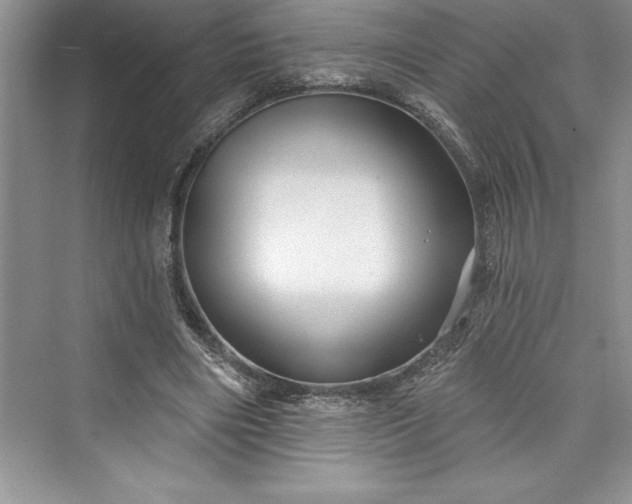 X0000073420490200608111355