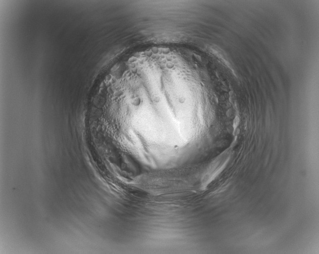 X0000073420491200608111355