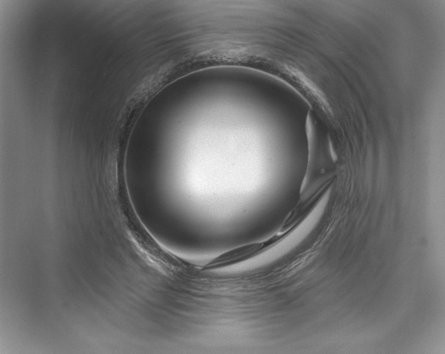 X0000073420493200608111355