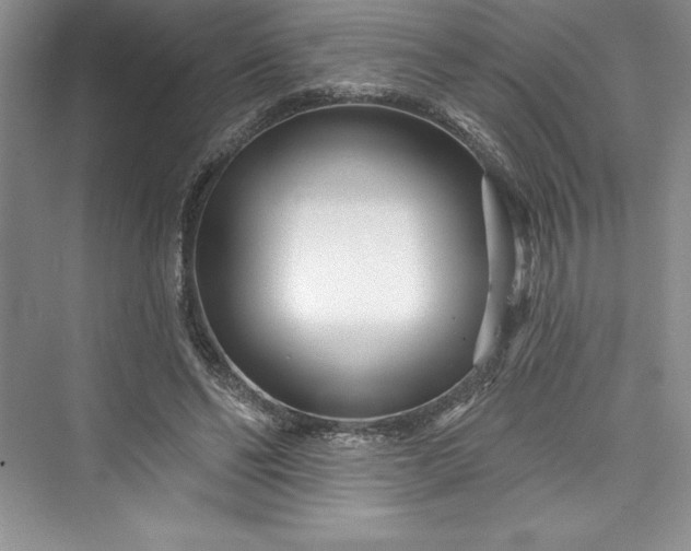 X0000073420494200608111355