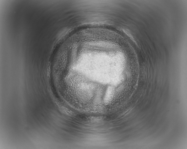 X0000073420495200608111355