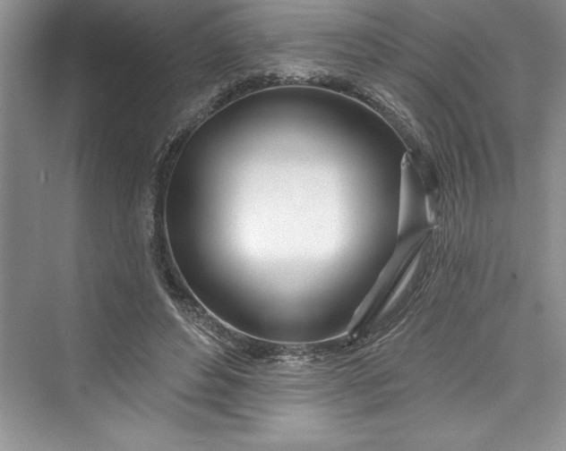 X0000073420496200608111355