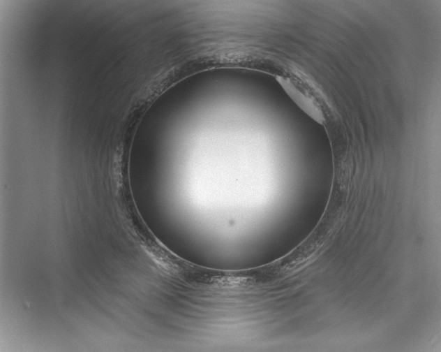 X0000073420497200608111355