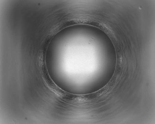 X0000073420498200608111355