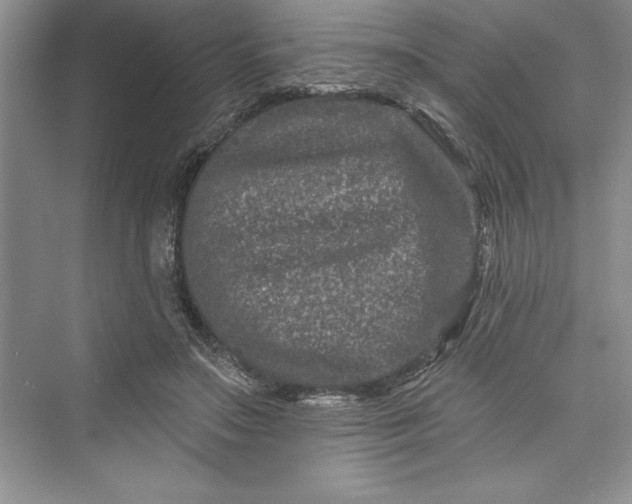 X0000073420499200608111354