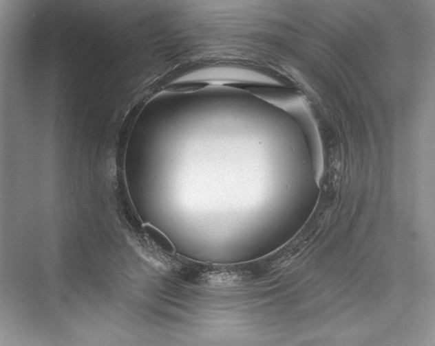 X0000073420500200608111354