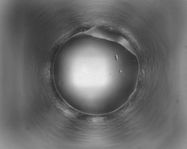 X0000073420501200608111354