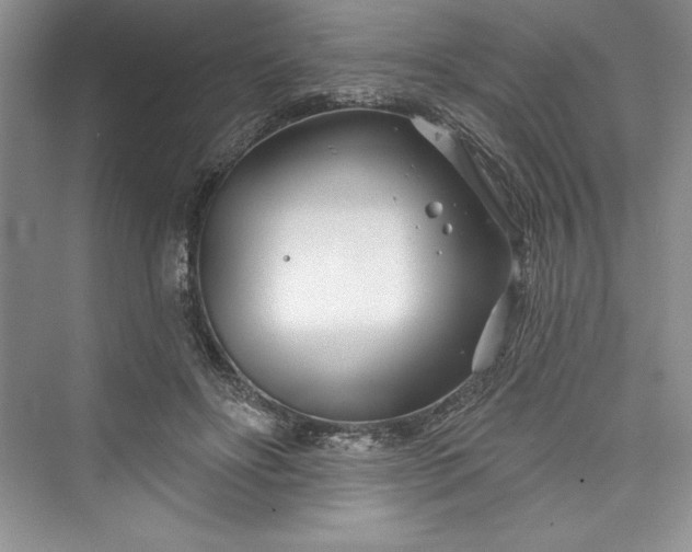 X0000073420502200608111354