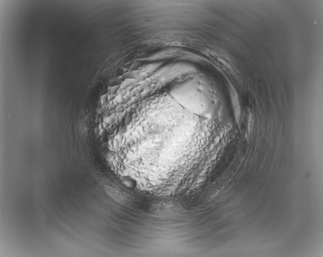 X0000073420503200608111354