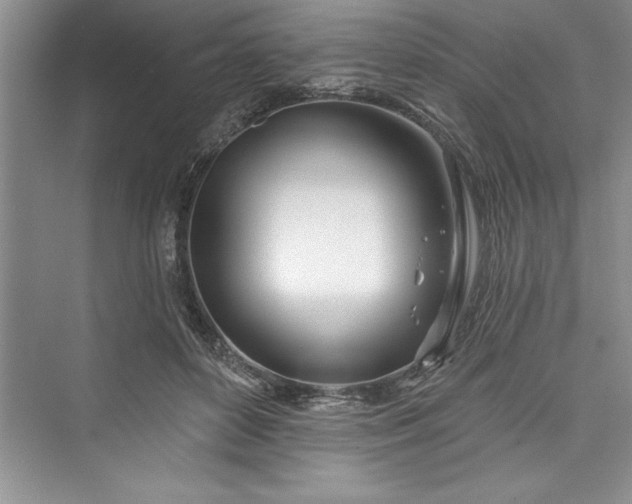 X0000073420504200608111354