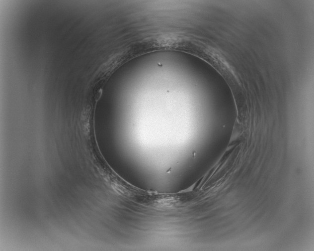 X0000073420505200608111354