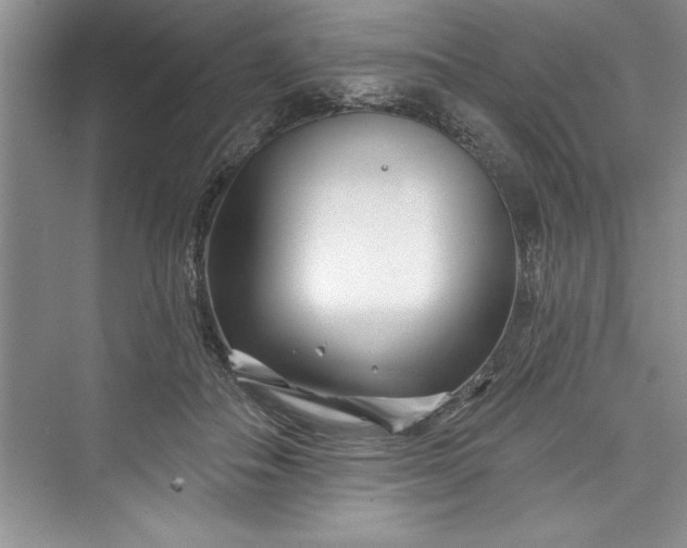 X0000073420506200608111354