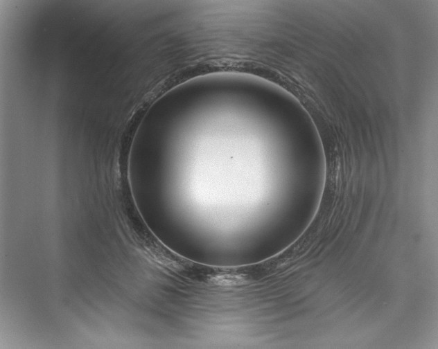 X0000073420508200608111354