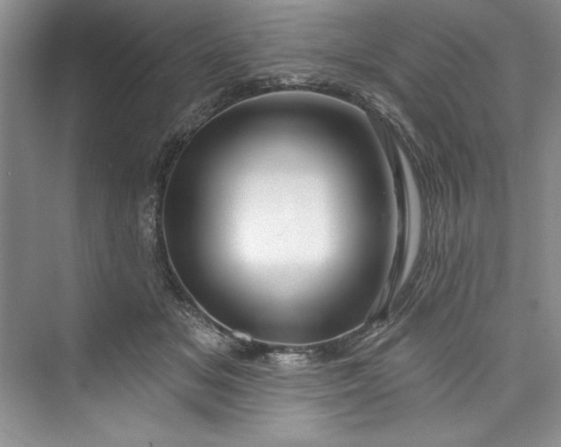 X0000073420509200608111354