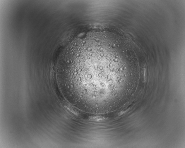 X0000073420511200608111354