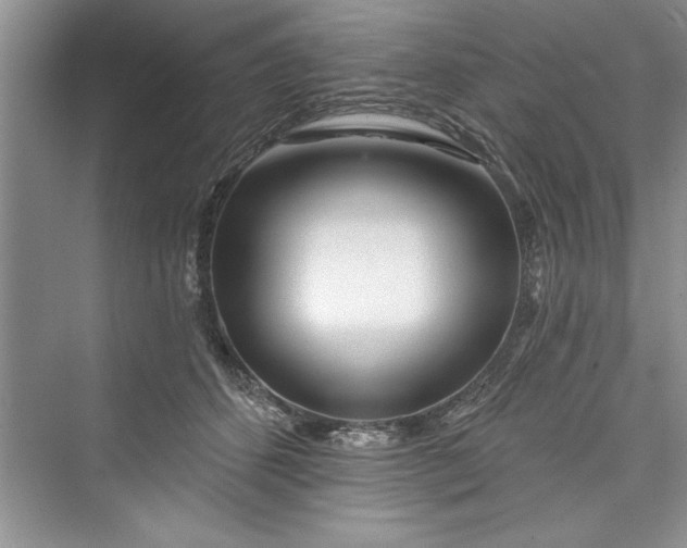 X0000073420512200608111354