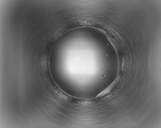 X0000073420513200608111354