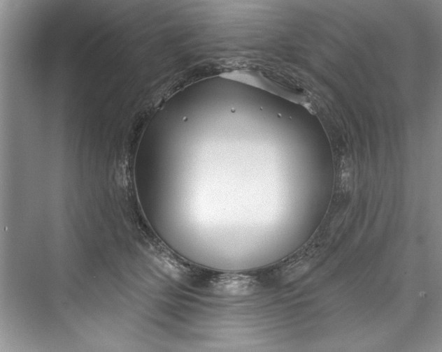 X0000073420514200608111354