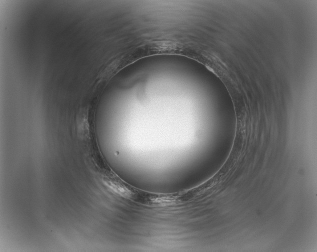 X0000073420516200608111354