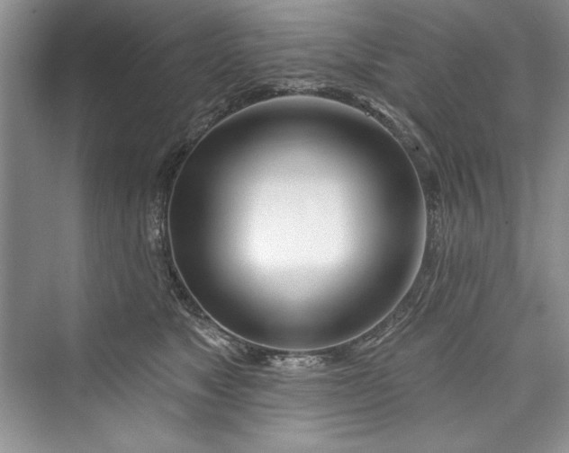 X0000073420517200608111354