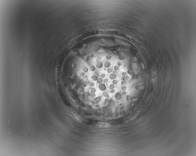 X0000073420519200608111354