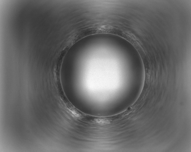 X0000073420520200608111354