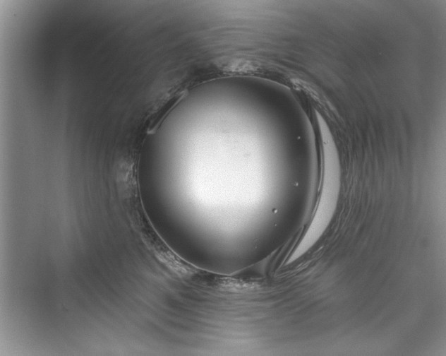 X0000073420521200608111354