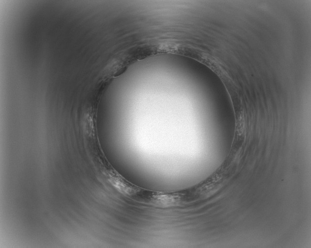 X0000073420522200608111354