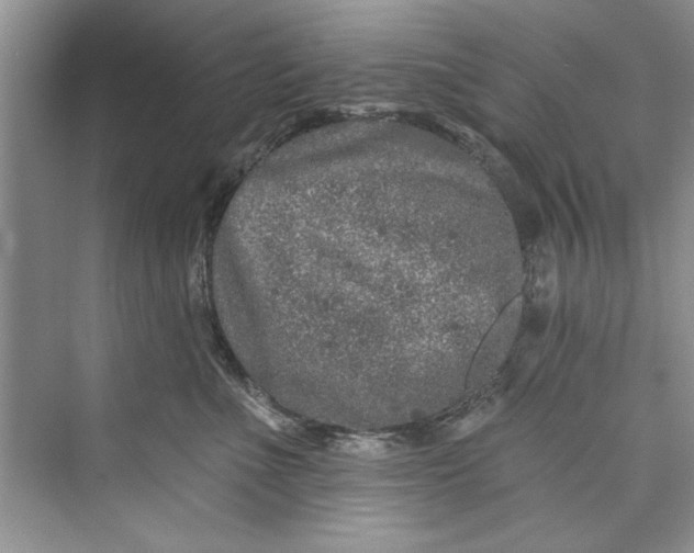 X0000073420523200608111354