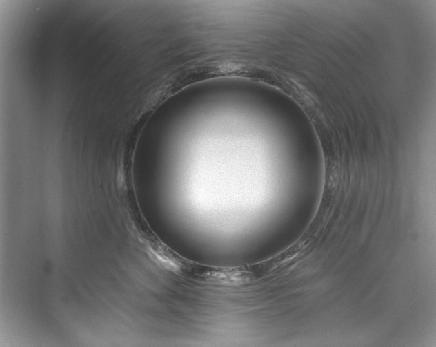 X0000073420524200608111354