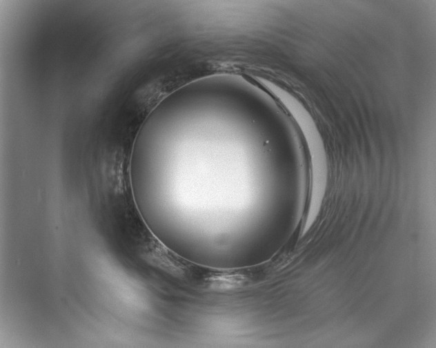 X0000073420525200608111354