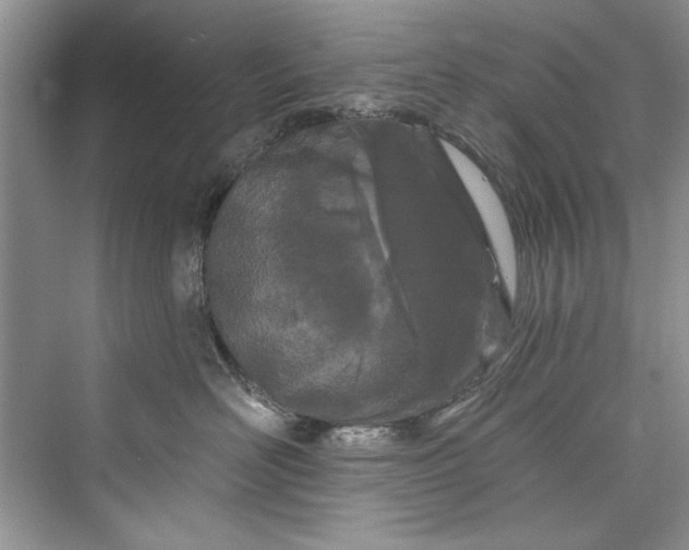 X0000073420526200608111354