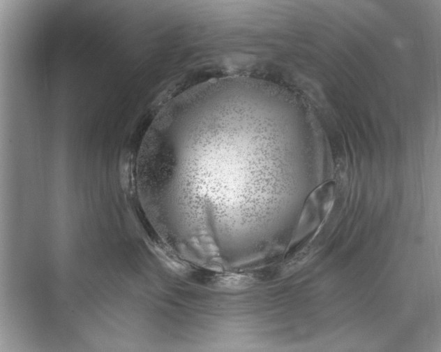 X0000073420527200608111354