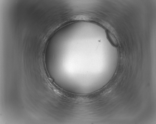 X0000073420529200608111353