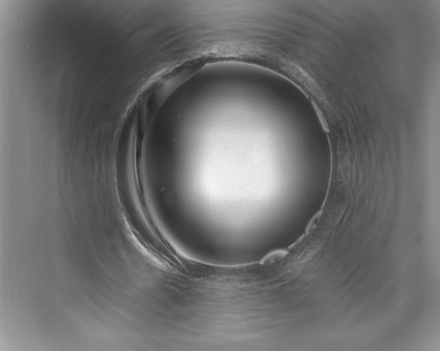 X0000073420530200608111353