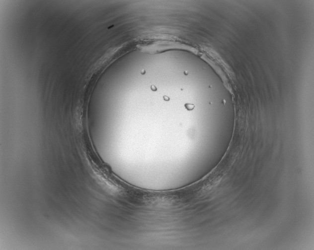 X0000073420533200608111353