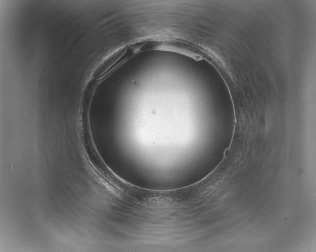 X0000073420535200608111353