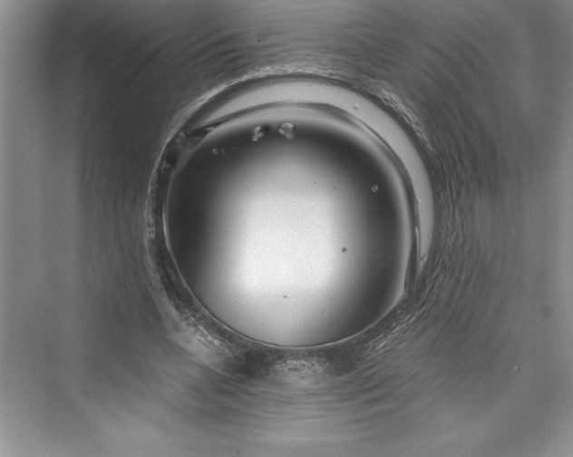 X0000073420536200608111353