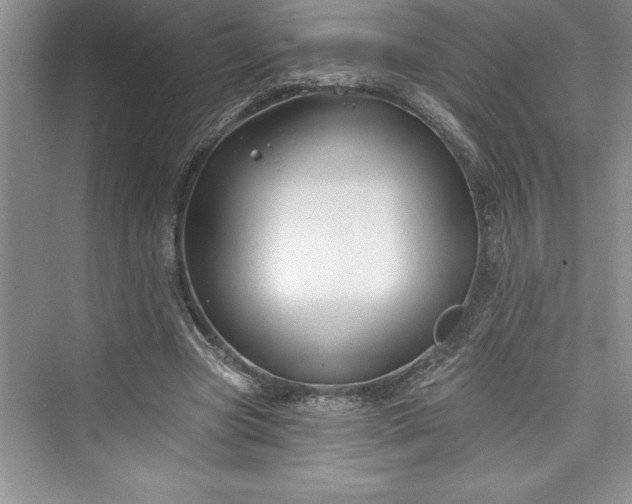 X0000073420537200608111353