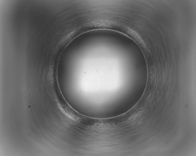 X0000073420538200608111353