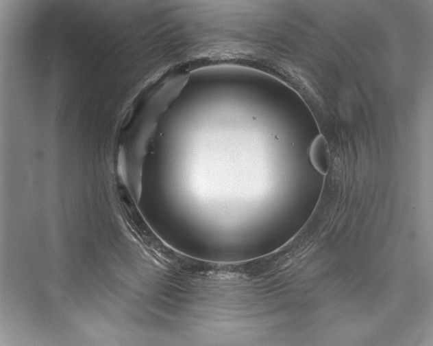 X0000073420539200608111353