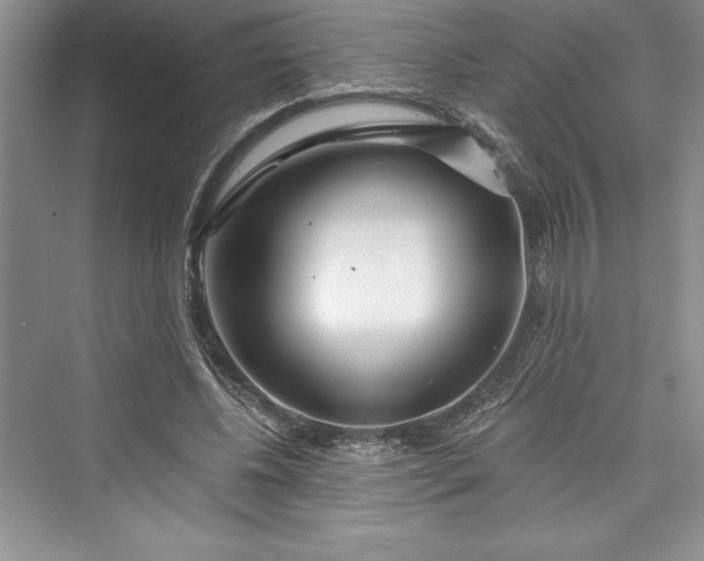 X0000073420540200608111353